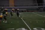 IMG 0429