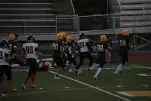 IMG 0287