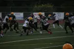 IMG 0240