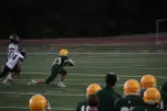 IMG 0364