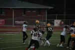 IMG 0216