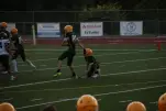 IMG 0086
