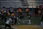 IMG 0290