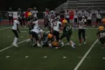 IMG 0268
