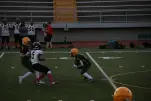 IMG 0217