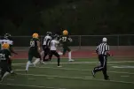 IMG 0336