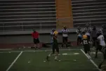 IMG 0385