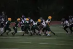IMG 0398