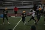 IMG 0375