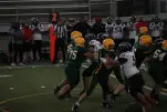 IMG 0379