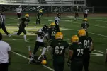 IMG 0674