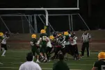 IMG 0413