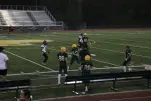 IMG 0458