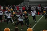 IMG 0230