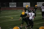IMG 0462