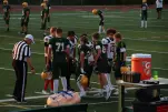 IMG 0015