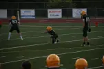 IMG 0081