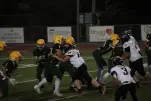 IMG 0461