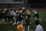 IMG 0314