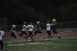 IMG 0390