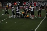 IMG 0269