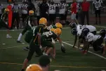IMG 0378