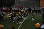 IMG 0273