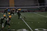IMG 0431