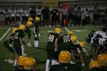 IMG 0737