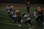 IMG 0124