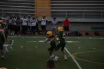 IMG 0227
