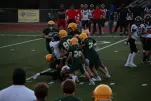 IMG 0110