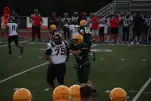 IMG 0235