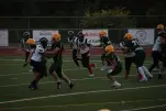 IMG 0075