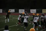 IMG 0286