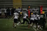 IMG 0624