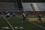 IMG 0260