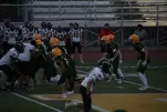 IMG 0291