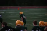 IMG 0049