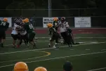 IMG 0236