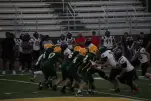 IMG 0347