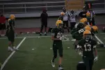 IMG 0368