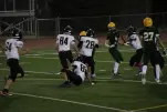IMG 0474