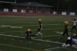 IMG 0142