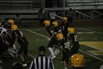 IMG 0599