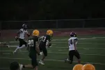 IMG 0358