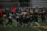 IMG 0295