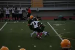 IMG 0218
