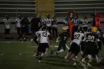 IMG 0623
