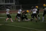 IMG 0477